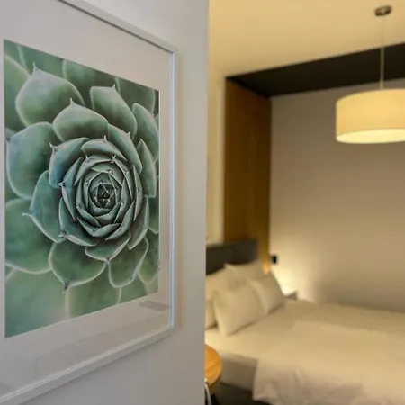 Red Riding Hood Beograd